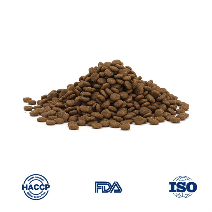 Best Cheap Cat Food China Factory